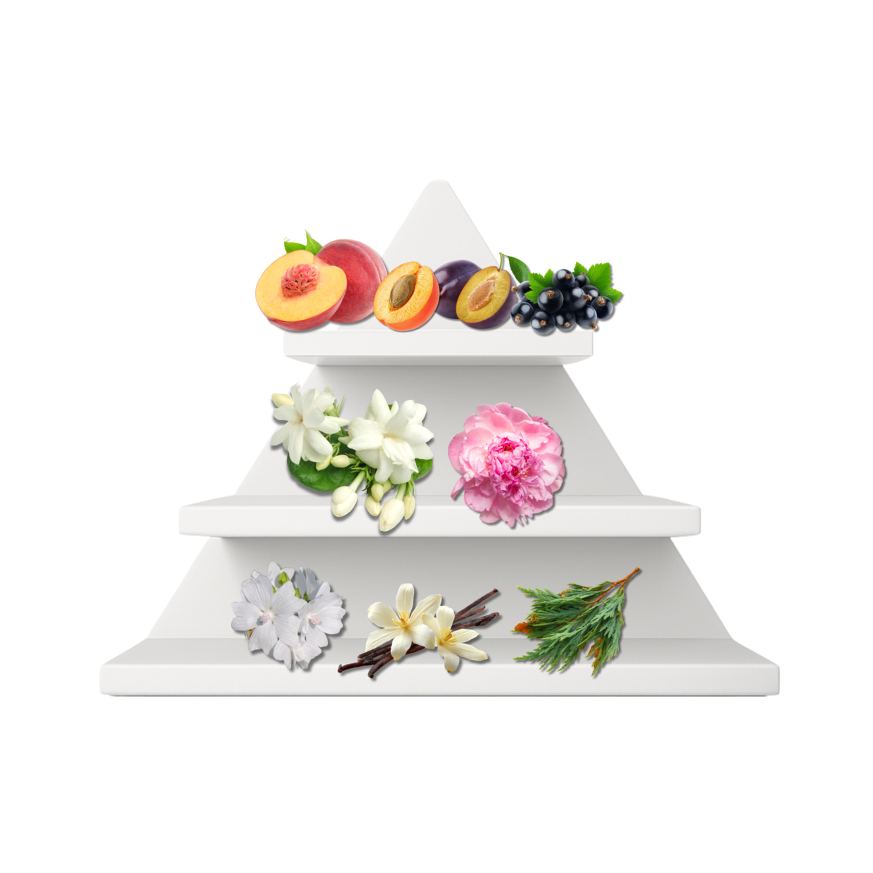 London Allure Duftpyramide